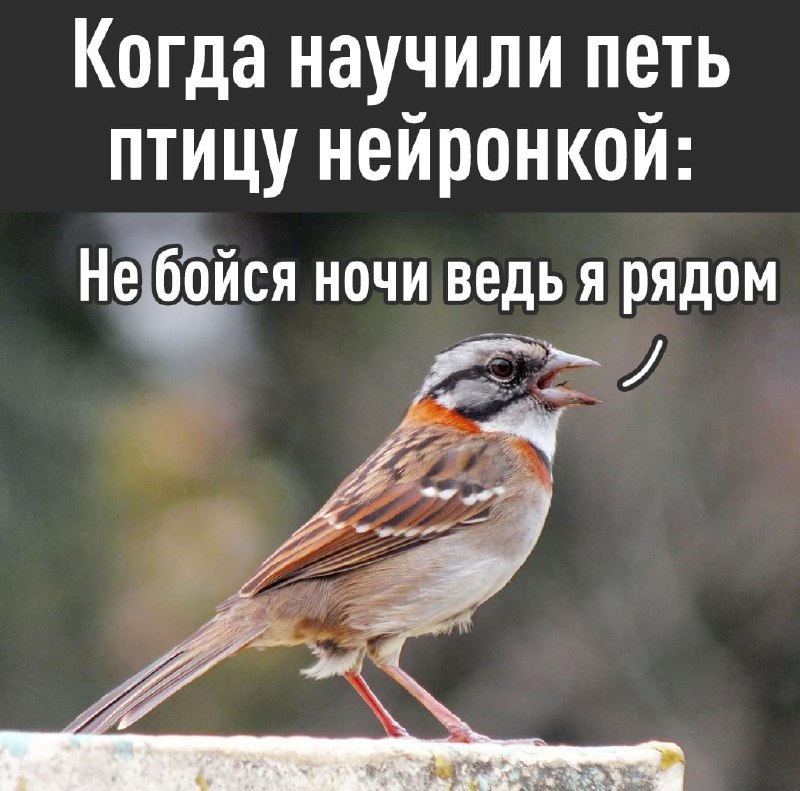 Фото поста канала Эксплойт