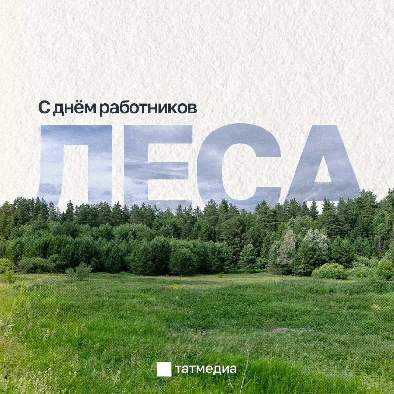 Фото поста канала  ТАТМЕДИА | Новости Казани и Татарстана