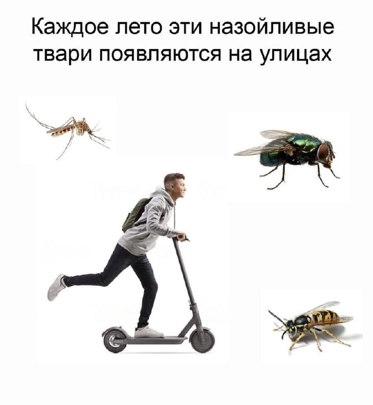 Фото поста канала Передали коллегам