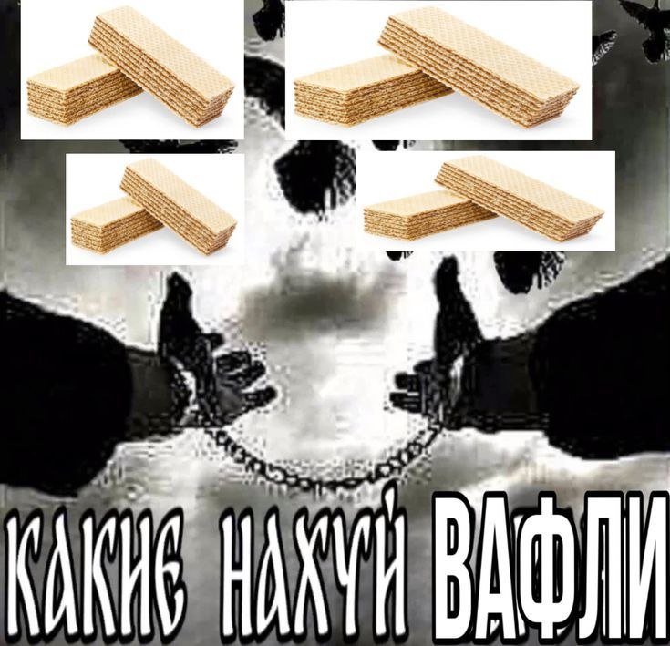 Фото поста канала мемы про котов