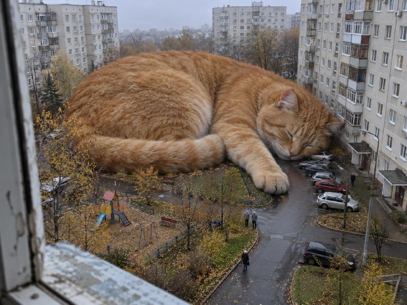 Фото поста канала 4chan