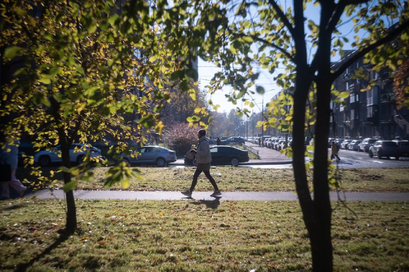 Фото поста канала  Бумага: всё о Петербурге