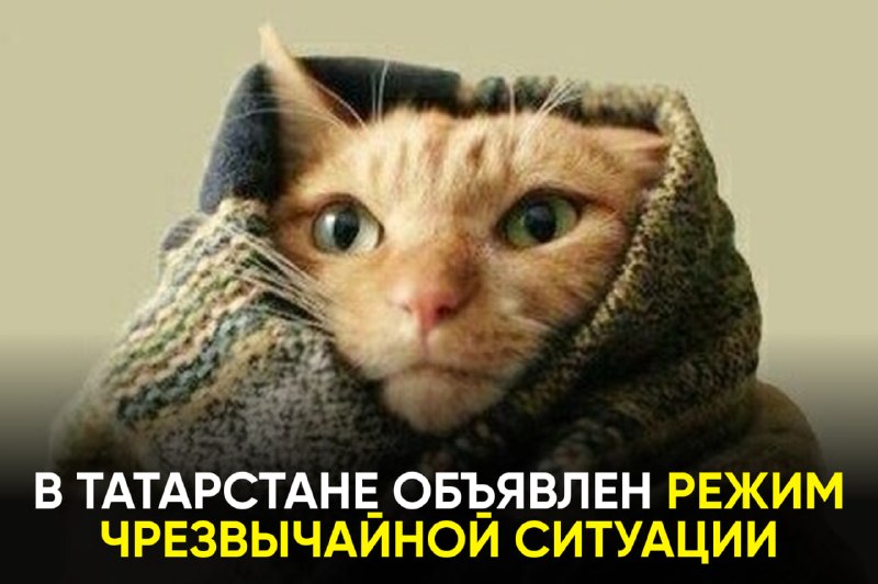Фото поста канала  ТАТМЕДИА | Новости Казани и Татарстана