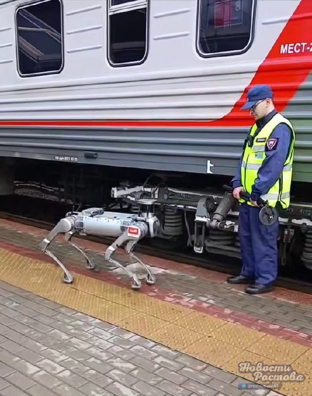 Фото поста канала  Новости Ростова - Rostovnews61