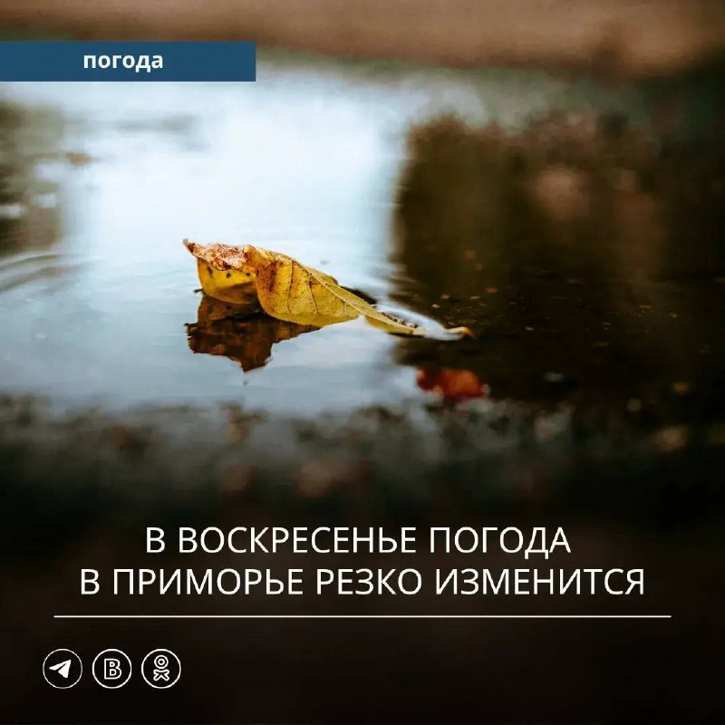 Фото поста канала  Хасанские вести