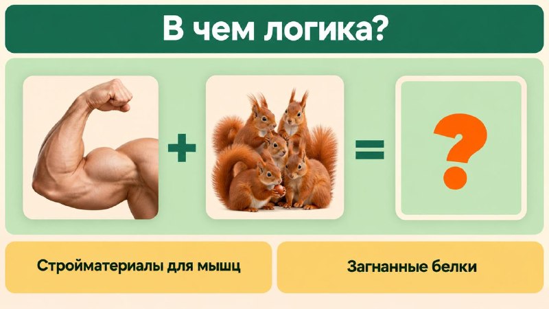 Фото поста канала Ньюсач/Двач