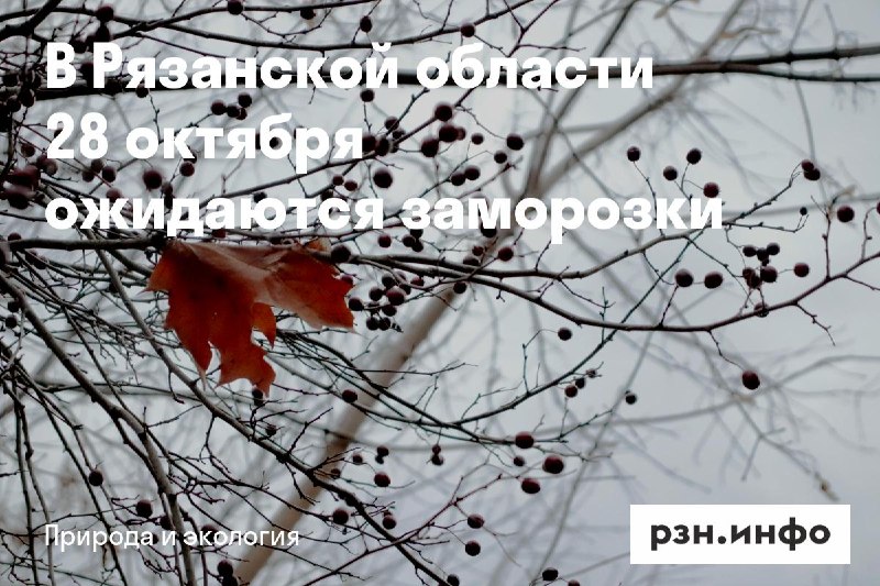 Фото поста канала  Новости Рязани • РЗН.инфо