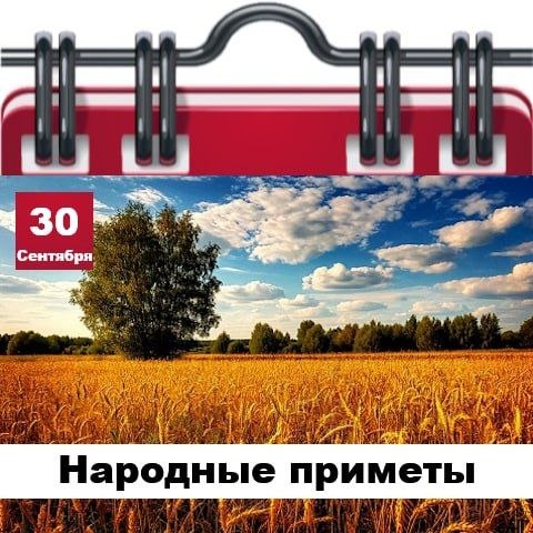 Фото поста канала  Жесть Шебекино