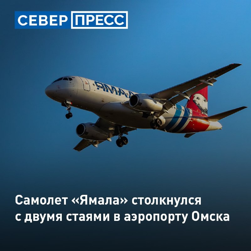 Фото поста канала  Мониторинг 89 Ямало-Ненецкий АО
