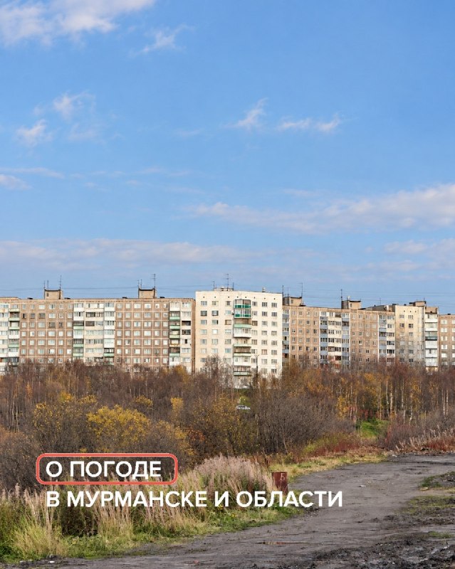 Фото поста канала  Мониторинг Арктика