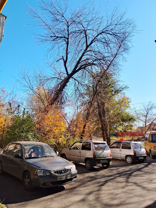Фото поста канала  Самара Новости