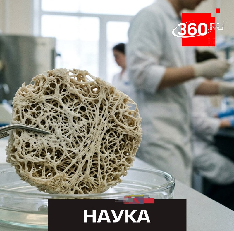 Фото поста канала  360.ru