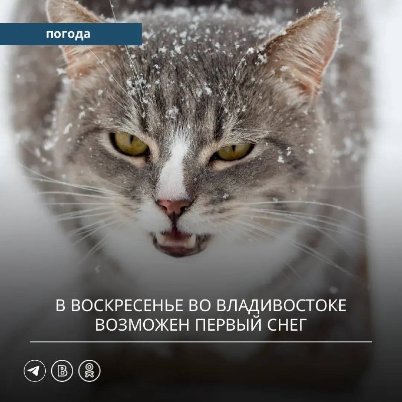Фото поста канала  Город В | Владивосток
