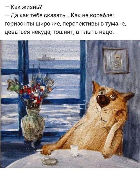 Фото поста канала Анекдоты | Мемы | Юмор 🍒