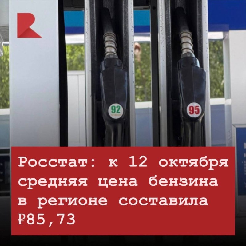 Фото поста канала RZN LIFE | ЖИЗНЬ РЯЗАНИ | РЯЗАНЬ