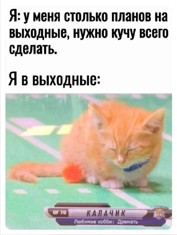 Фото поста канала НГС — новости Новосибирска
