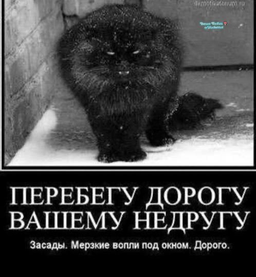 Фото поста канала  Ходють тут всякие!🍄