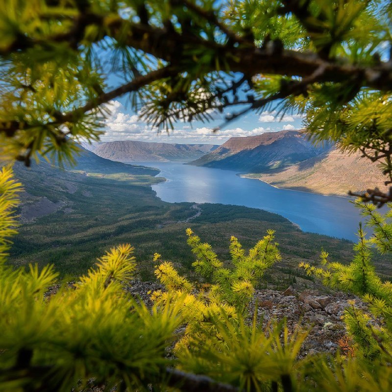 Фото поста канала  16 негритят