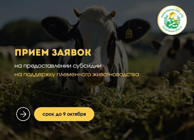 Фото поста канала  Лента новостей Бердянска | Z