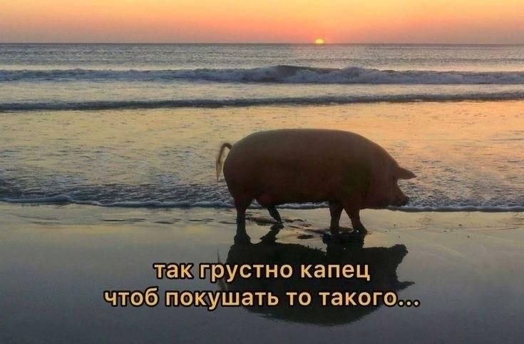 Фото поста канала Жидковские посиделки