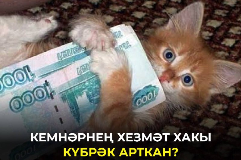 Фото поста канала  Мөслим-информ / Муслюмово