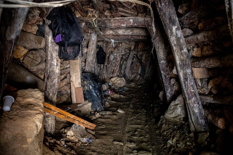 Фото поста канала  Северный город Z