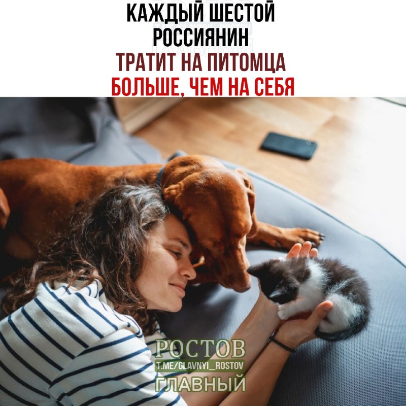 Фото поста канала  Ростов Главный новости