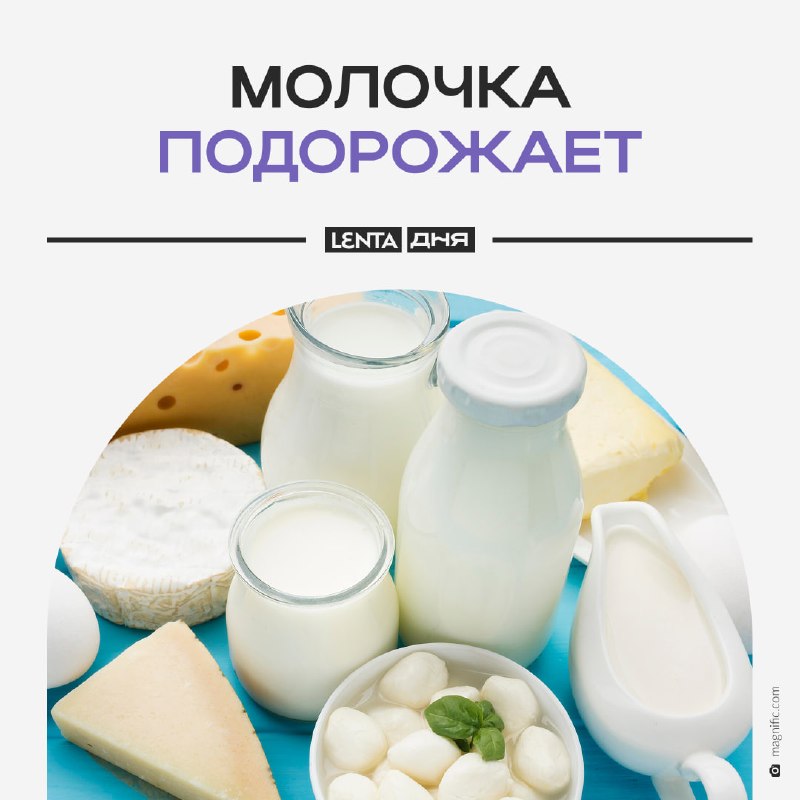 Фото поста канала Лента дня