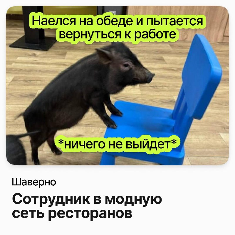Фото поста канала careerspace