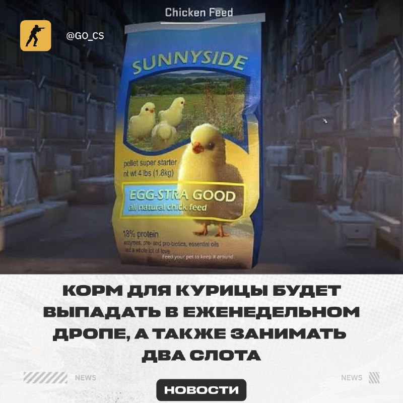 Фото поста канала Counter-Strike 2