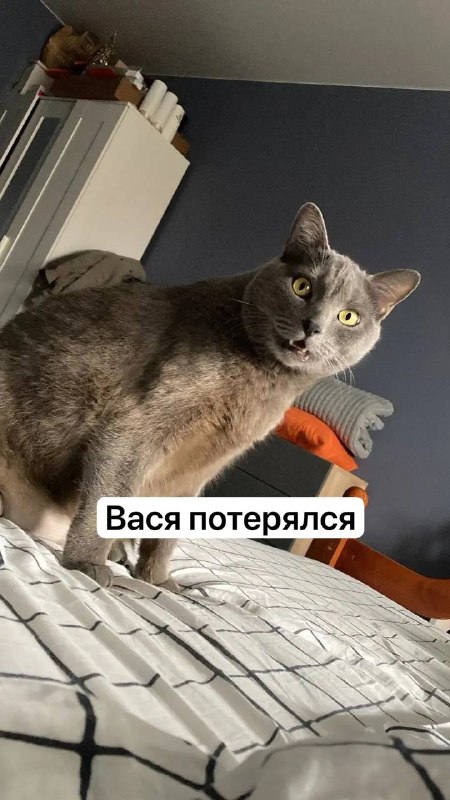 Фото поста канала  Краснодар | Телетайп