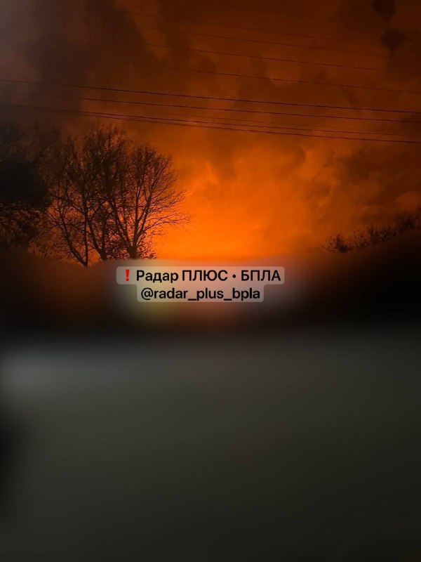 Фото поста канала  Русскоязычная Нетократия