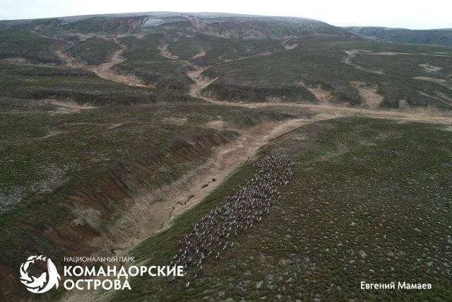 Фото поста канала  Камчатский Репортёр