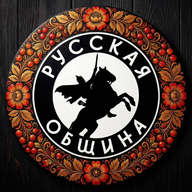 Фото поста канала Русская  Община ZOV