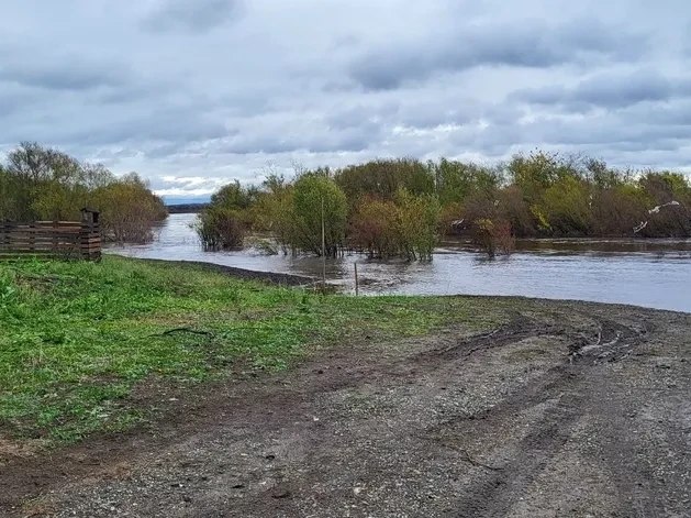 Фото поста канала  Мониторинг 66 Свердловская область
