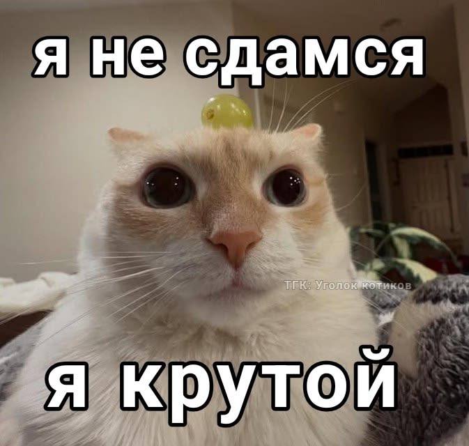 Фото поста канала  Мониторинг 45 Курганская область