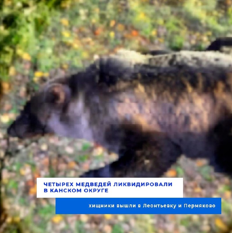 Фото поста канала  Мониторинг 24 Красноярский край