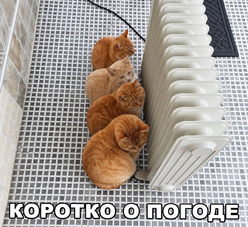 Фото поста канала Москва Live