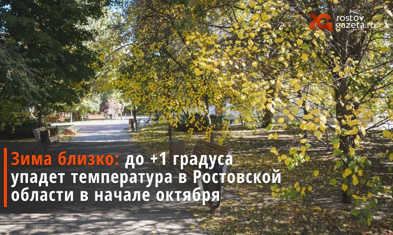 Фото поста канала  RostovGazeta.ru | Ростовская область