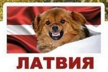 Фото поста канала  WebM⚡️2.0
