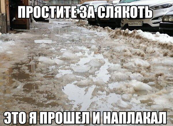 Фото поста канала Питер Live