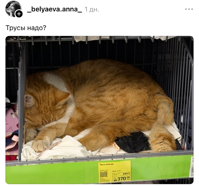 Фото поста канала Я другое заказывал