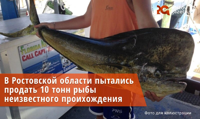 Фото поста канала  RostovGazeta.ru | Ростовская область