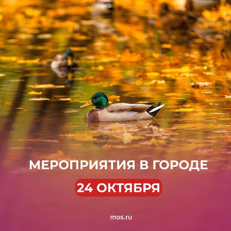 Фото поста канала  РИТА ЭБЗЕЕВА