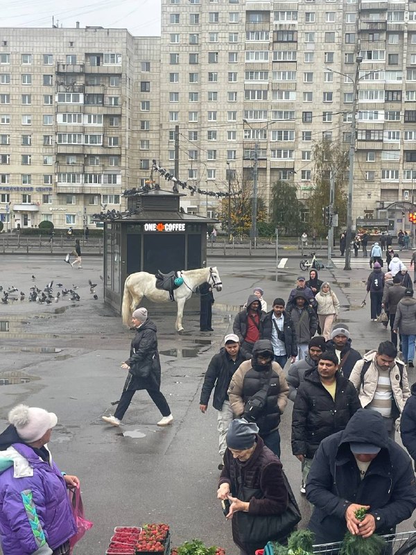 Фото поста канала  Записки Годного Марксиста