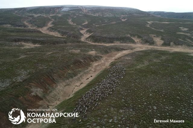 Фото поста канала  Масс Медиа Камчатка