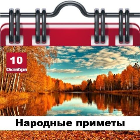 Фото поста канала  Жесть Шебекино