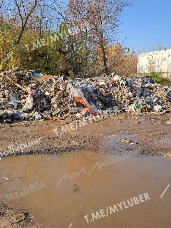 Фото поста канала Мои Люберцы ®️