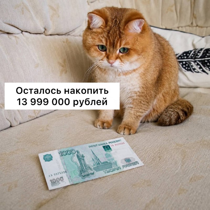 Фото поста канала Москва с огоньком