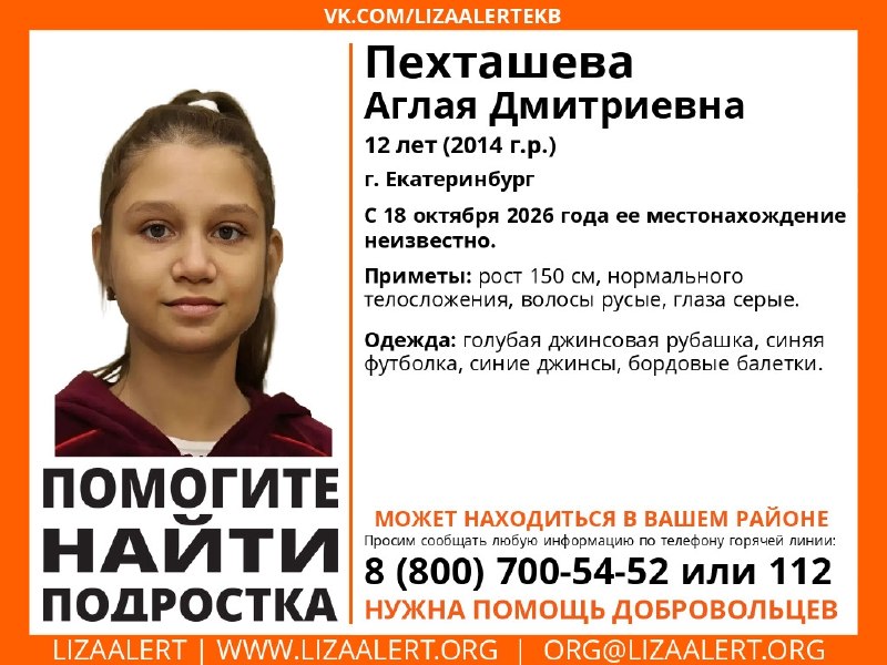 Фото поста канала  Подъём